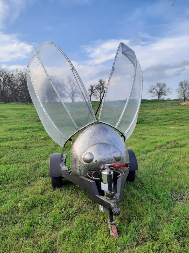 Gnomad, resting in a field at the San Antonio regional burn. 